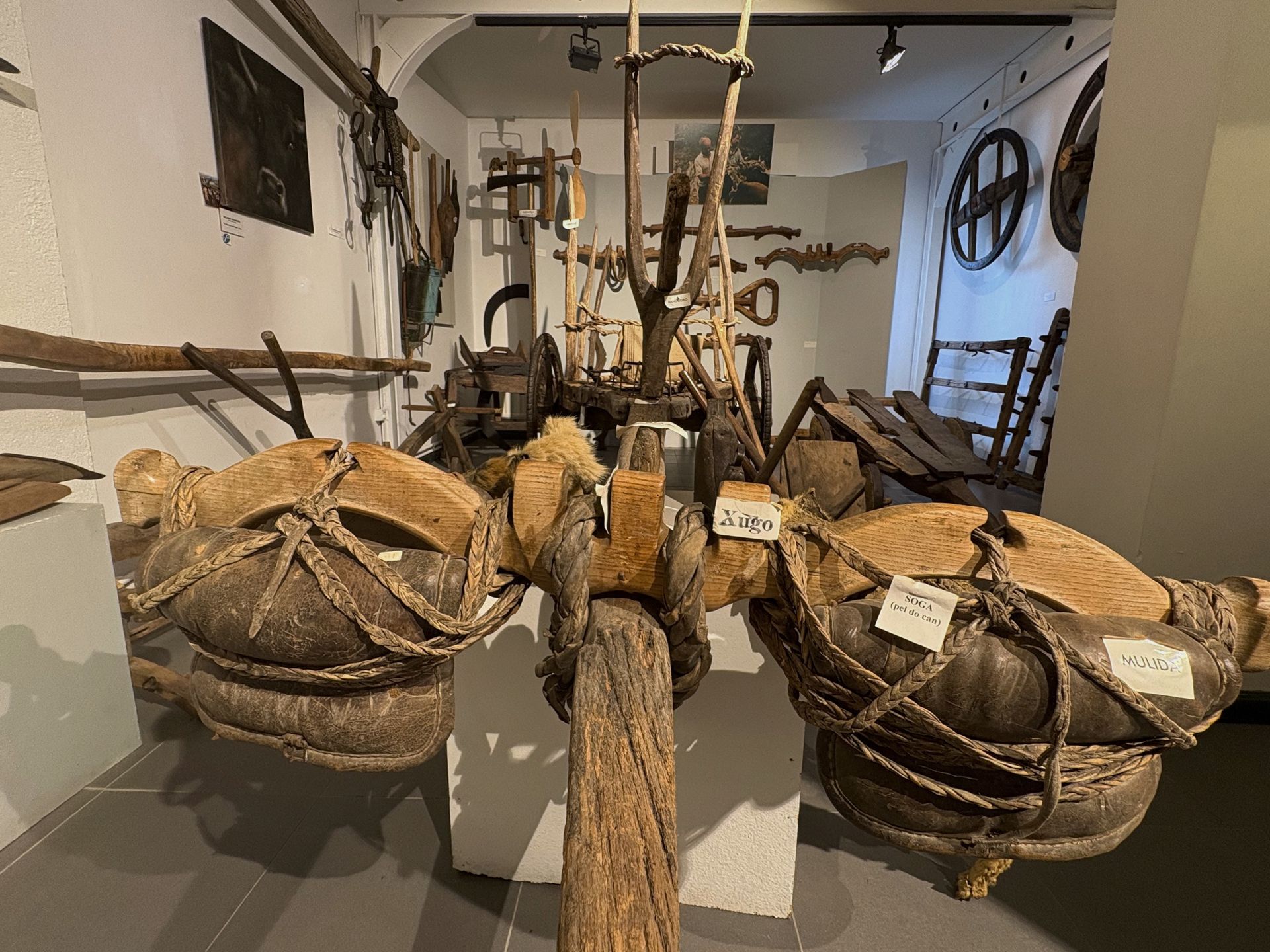 Carro co xugo e apeiros de labranza