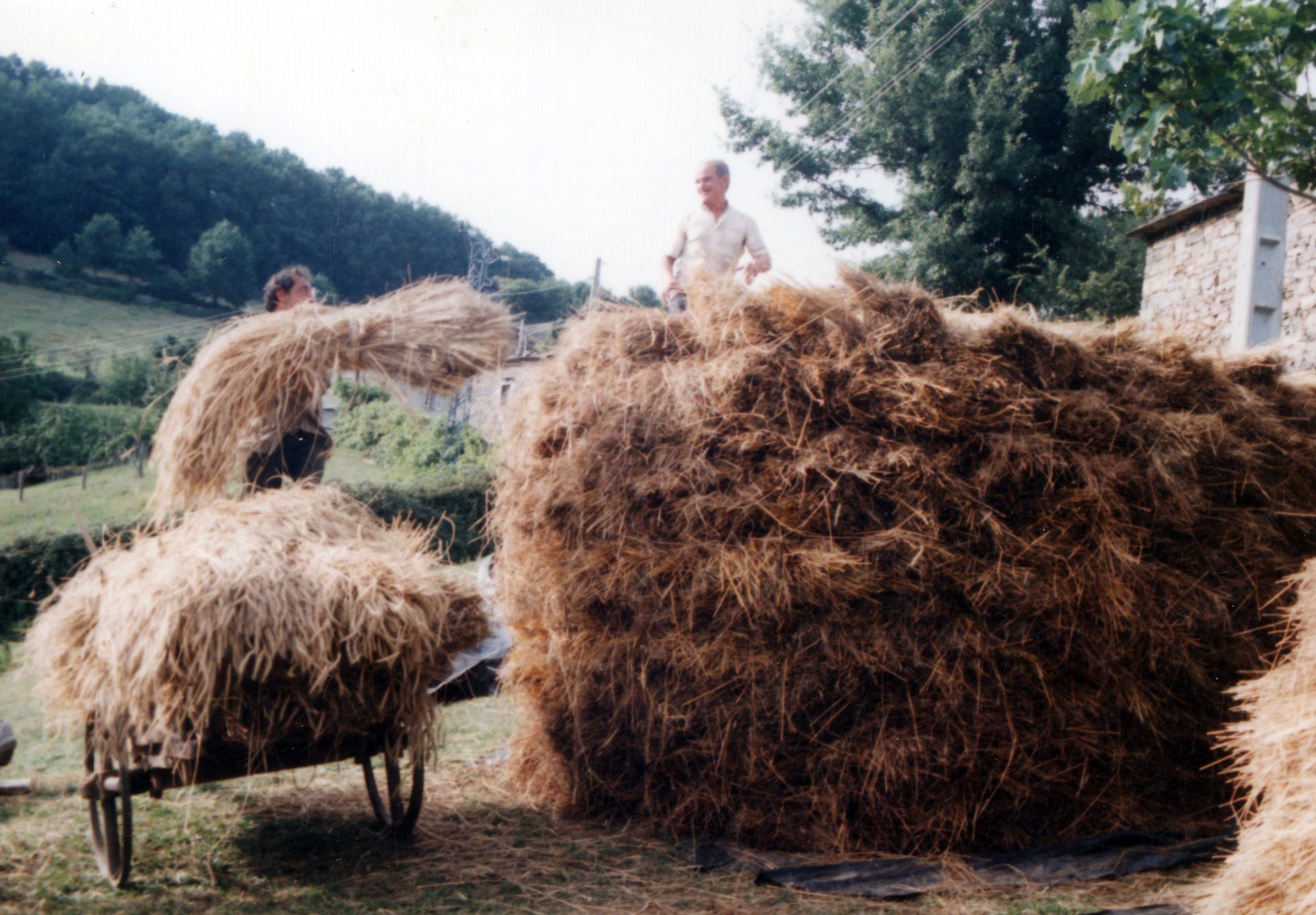 Descargando o carro e facendo unha meda na aira