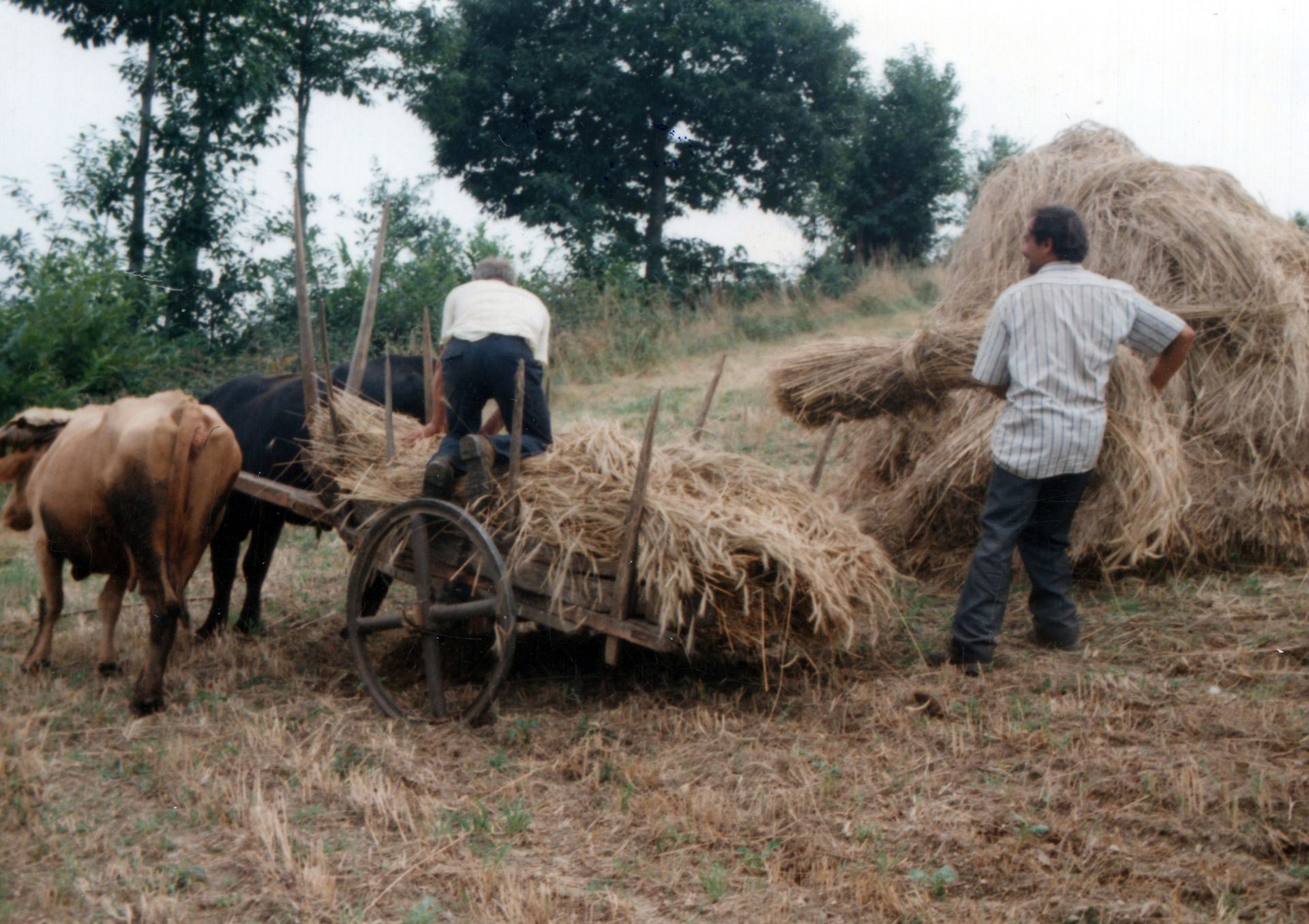 Desfacendo o marroto e cargando o carro