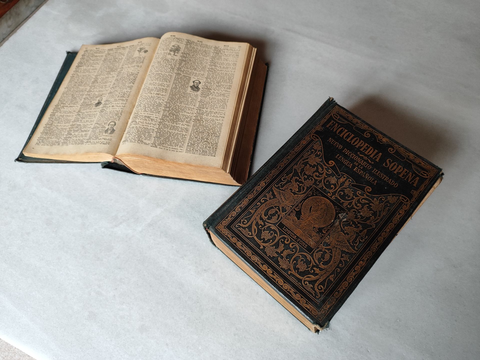 Dicionario do ano 1926