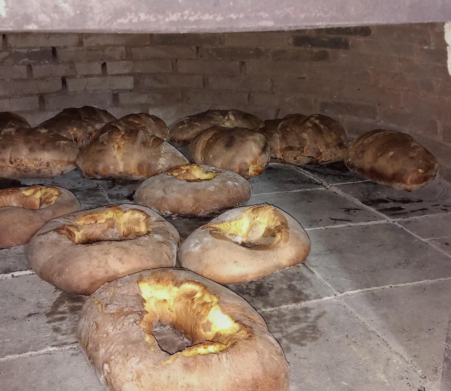 Roscas de cantelo ou do xoves santo