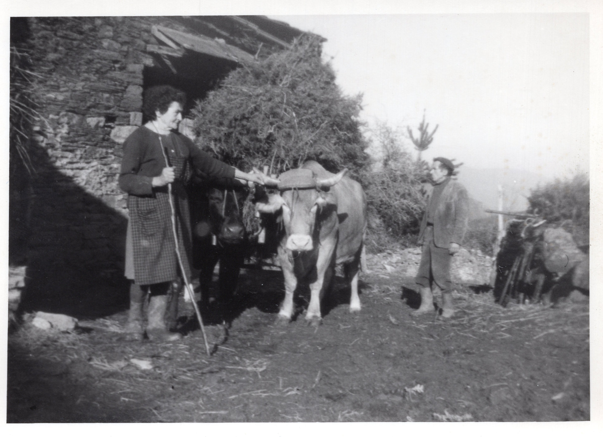 A agricultura foi un dos piares da economía
