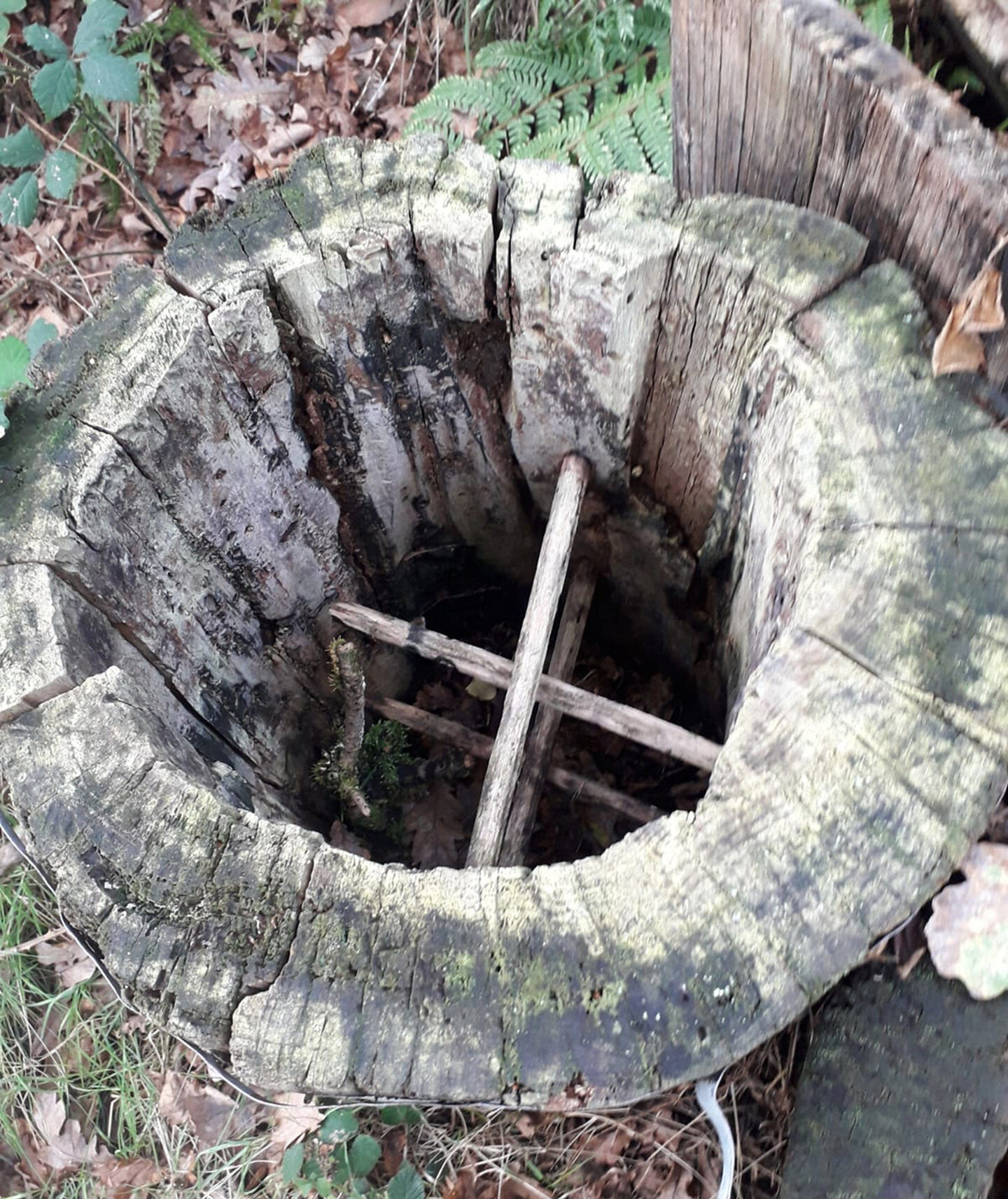 Trobo con cruces para a cera (a 1/3 e a 2/3 de altura)