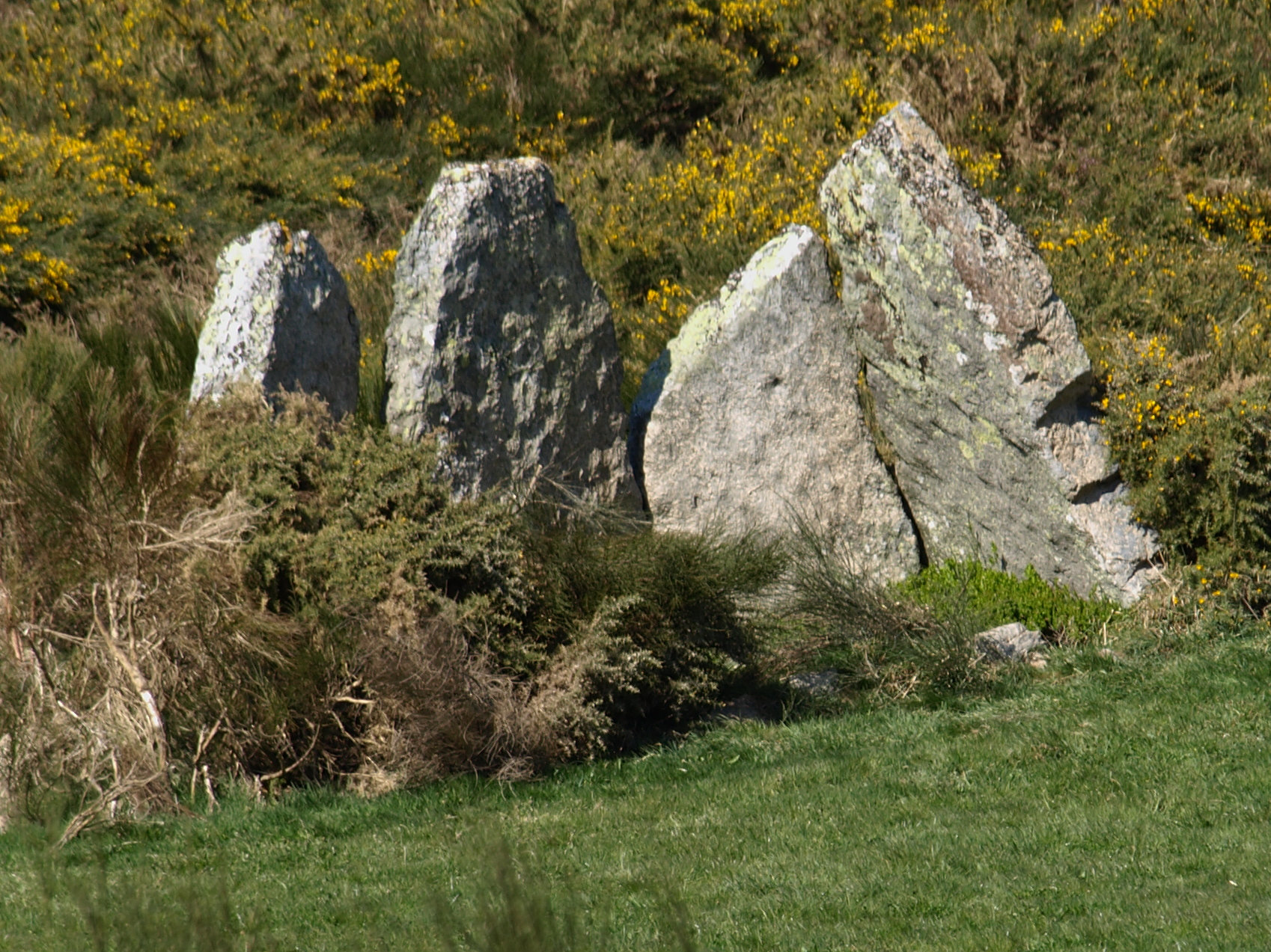 Dolmen de Montouto